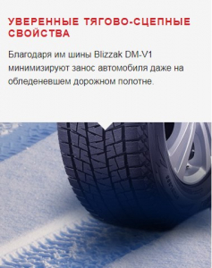 Bridgestone Blizzak DM-V1