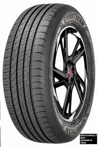 Goodyear EFFICIENT GRIP 2 SUV